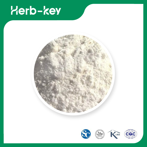 Dextrine (excipients pharmaceutiques)