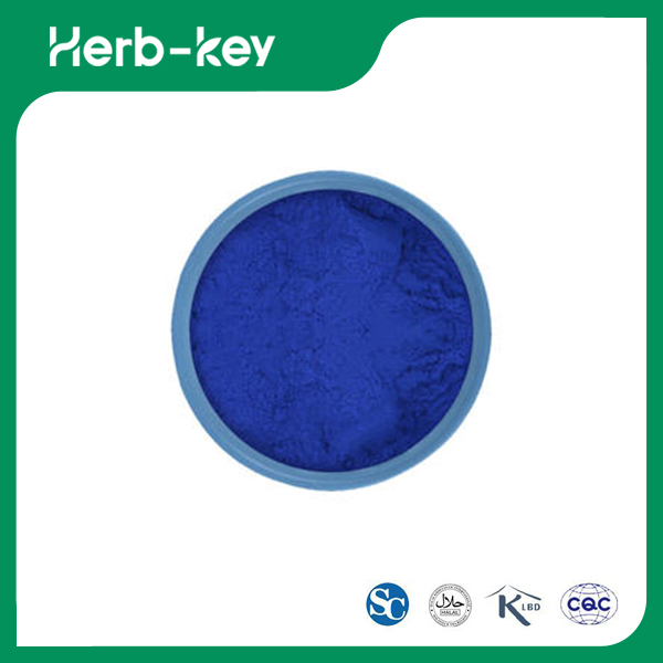 Poudre de phycocyanine