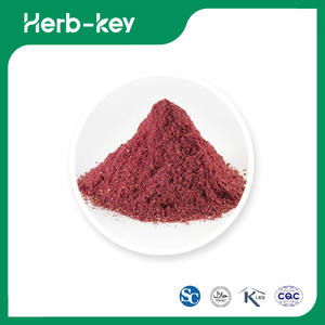 Poudre d'extrait de framboise biologique 