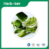 Extrait d'aloe vera