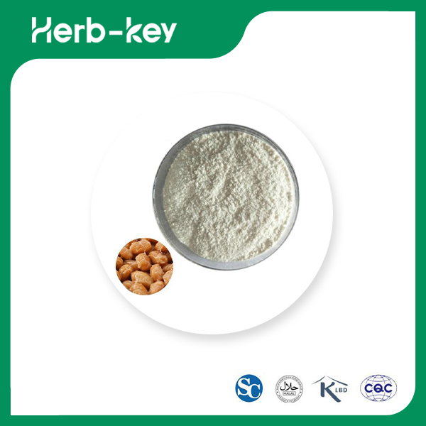Poudre de nattokinase
