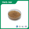 Poudre d'extrait de Gotu Kola