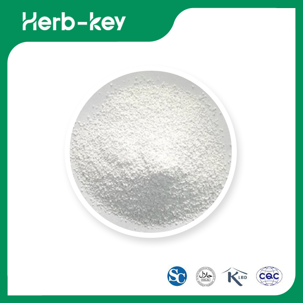 Croscarmellose sodique (excipients médicinaux)