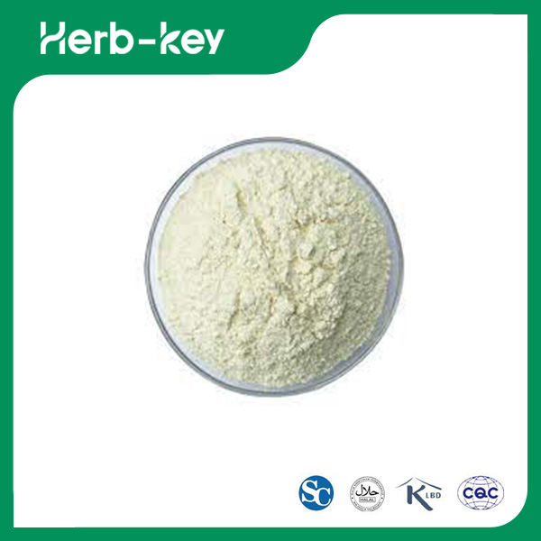 dicentrine