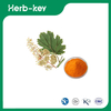 Extrait de Macleaya Cordata