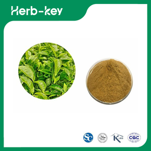 Polyphénols d'extrait de thé vert