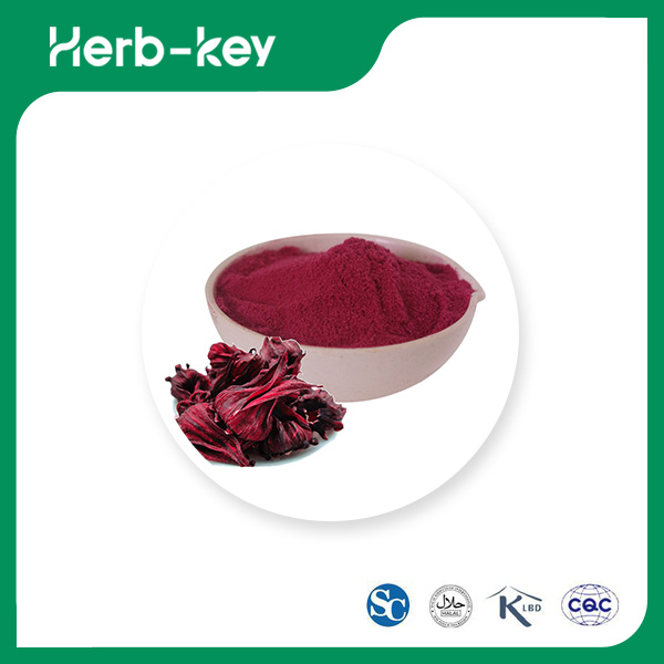 Poudre d'extrait de Roselle