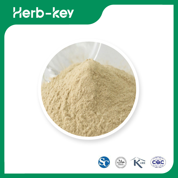 Poudre de peptides de soja &nbsp; &nbsp;