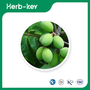 Extrait de fruit d'olive