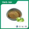 Poudre d'extrait de germe de brocoli 