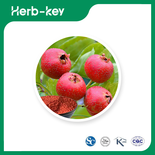 Poudre de fruits d'aubépine 