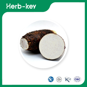 Saveur Colocasia