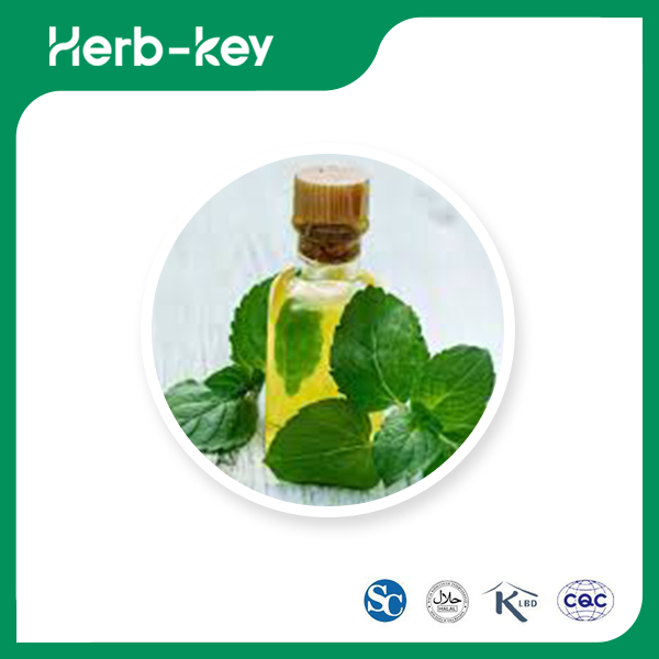 Huile essentielle de menthe des champs