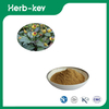 Poudre d'extrait de Spilanthes Acmella