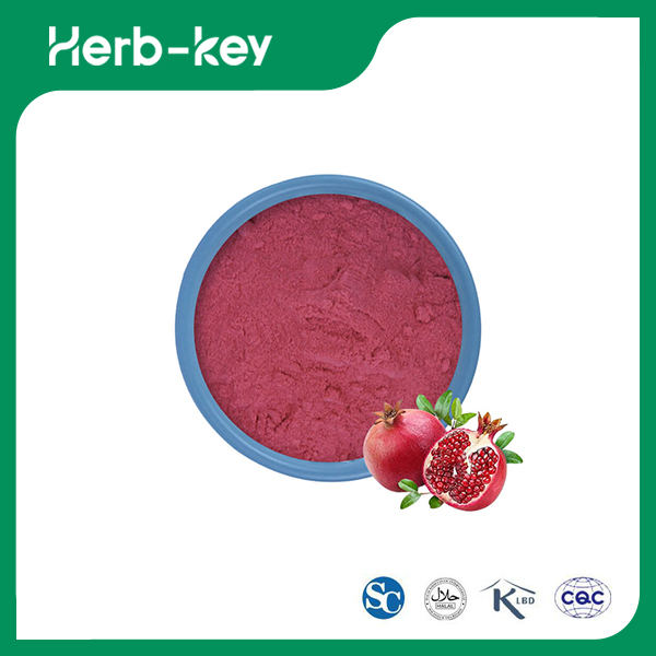 Poudre de fruit de grenade